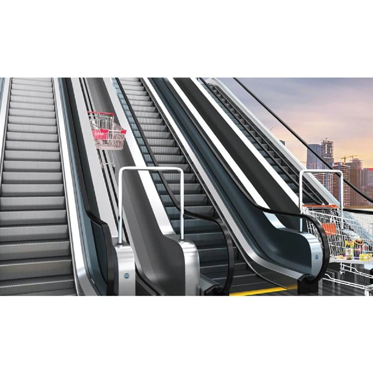 cart-escalator26440